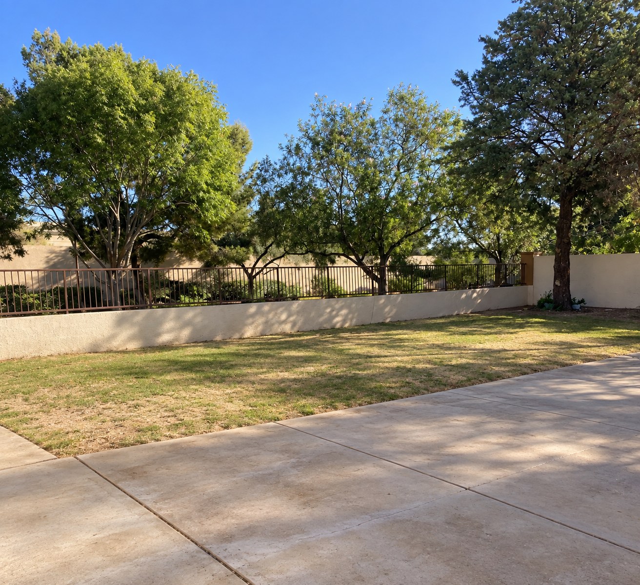 Backyard before MSWT remodel — patchy grass and concrete pad